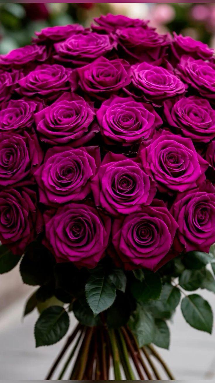 Eternal Embrace: Timeless Floral Symphony