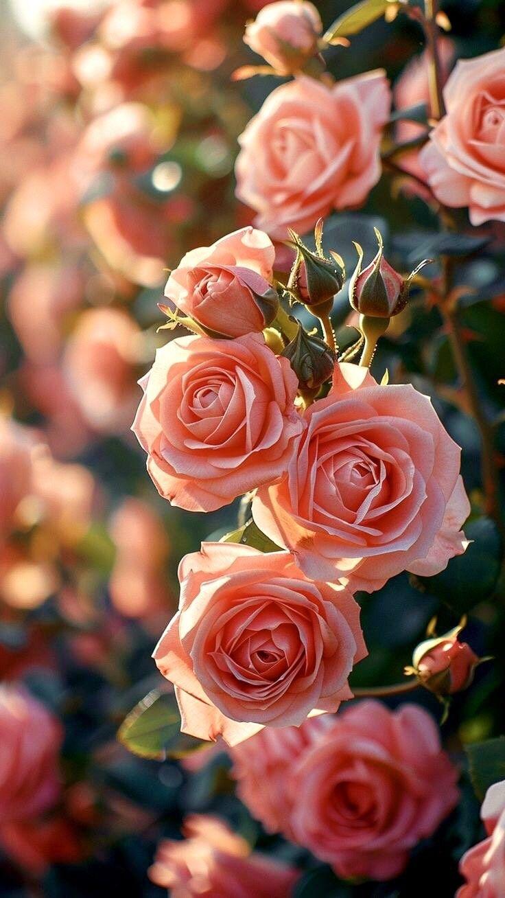 Enchanted Blossom Waltz: Garden's Silent Music